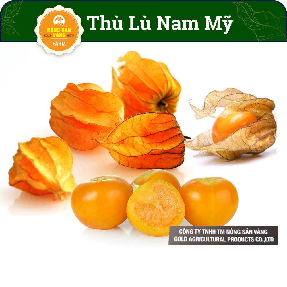 Hạt Giống Tầm Bóp (Thù Lù Nam Mỹ) Tỷ Lệ Nảy Mầm Cao, Sinh Trưởng Khỏe,  Năng Suất Cao  (Gói 50 Hạt) - Nông Sản Vàng