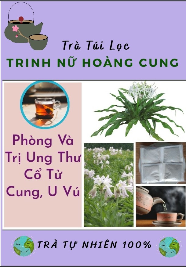Trà Trinh Nữ Hoàng Cung - 40 Túi Lọc, Phòng và Hỗ Trợ Giảm Ung Thư Cổ Tử Cung, Trà Đông Y Việt