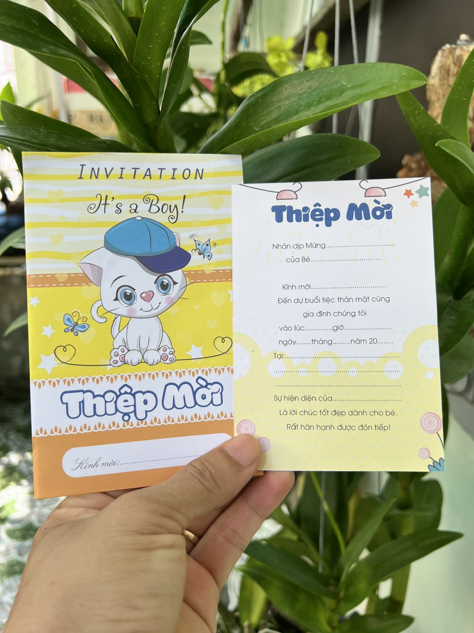 Combo 20 thiệp sinh nhật, thôi nôi, đầy tháng bé mèo trai