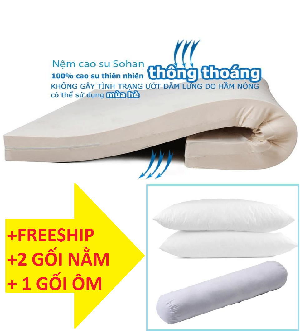 Nệm sze 1m6 x 2m x 10cm cao su thiên nhiên sohan tặng kèm+ 1 gối ôm 2 gối hơi cao cấp