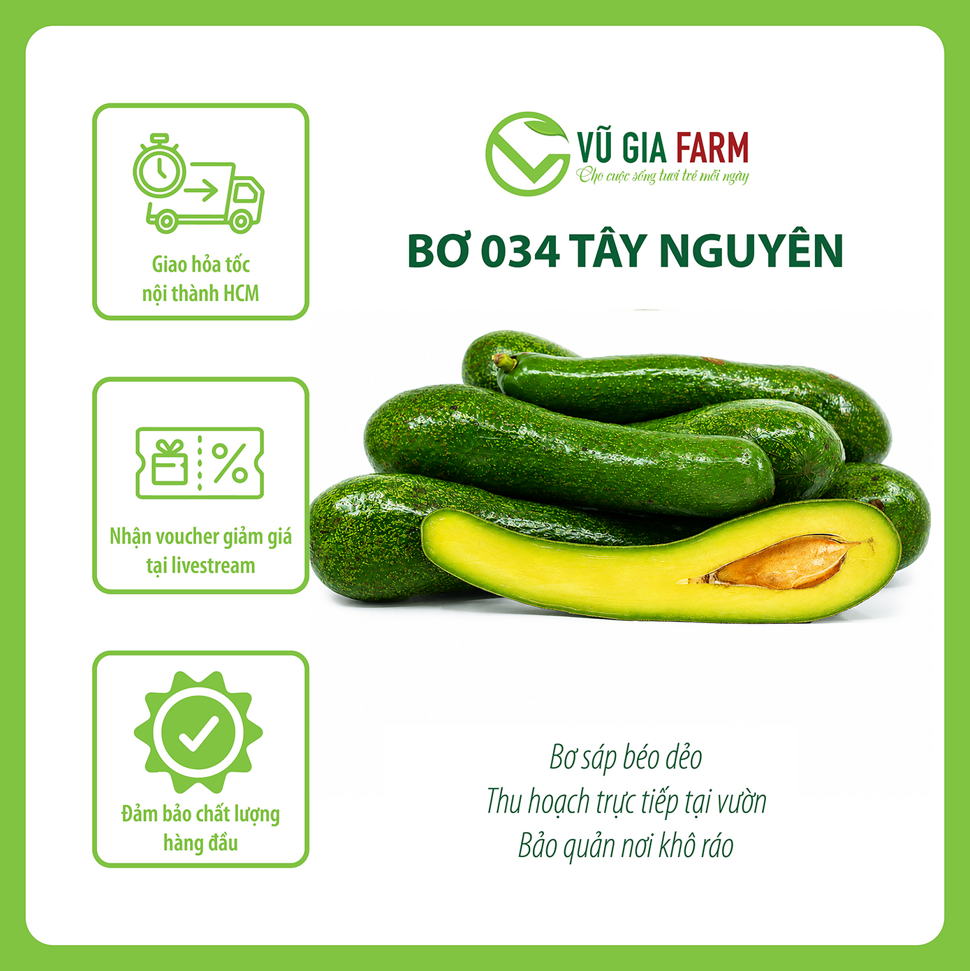 [PRE-ORDER] Bơ 034 Size 3-4-5 trái/kg Tây Nguyên Vũ Gia Farm - bơ sạch nhà trồng, thu hoạch trực tiếp