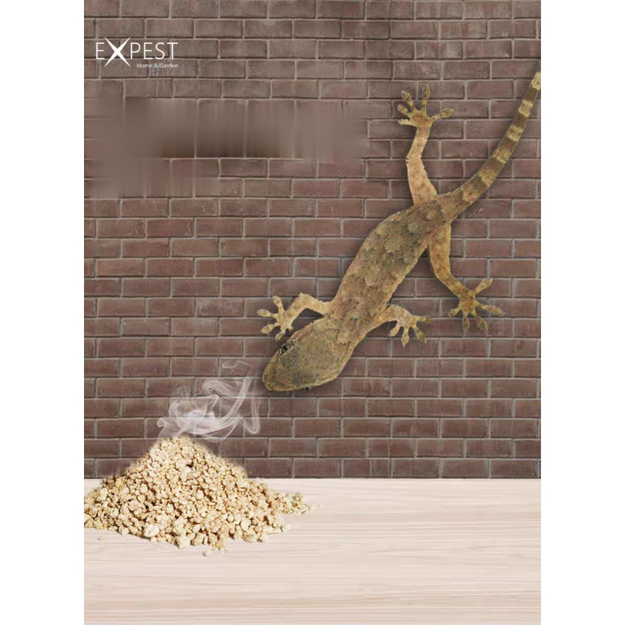 3 miếng keo bẫy thằn lằn keo dán bắt thằn lằn miếng dán bắt thằn lằn cho nhà nuôi yến