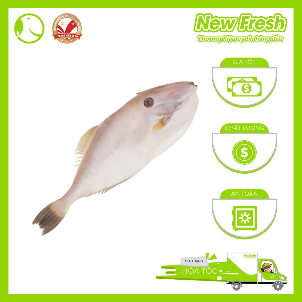 [HỎA TỐC HCM] Cá Bò Da nguyên con - Túi 1Kg