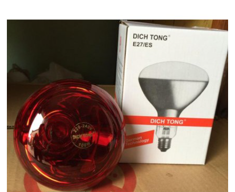 Bóng đèn hồng ngoại dictong 250w, 100w e27 chính hãng