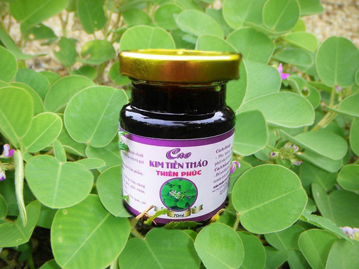 Cao kim tiền thảo giúp tăng cường sức khỏe