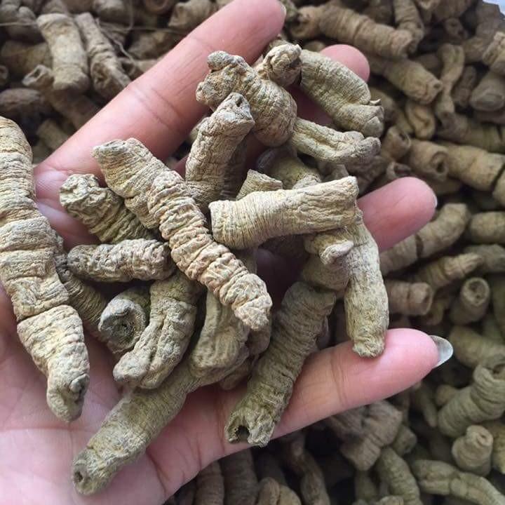 0.5 Kg ba kích tím khô đại rút lõi Quảng Ninh