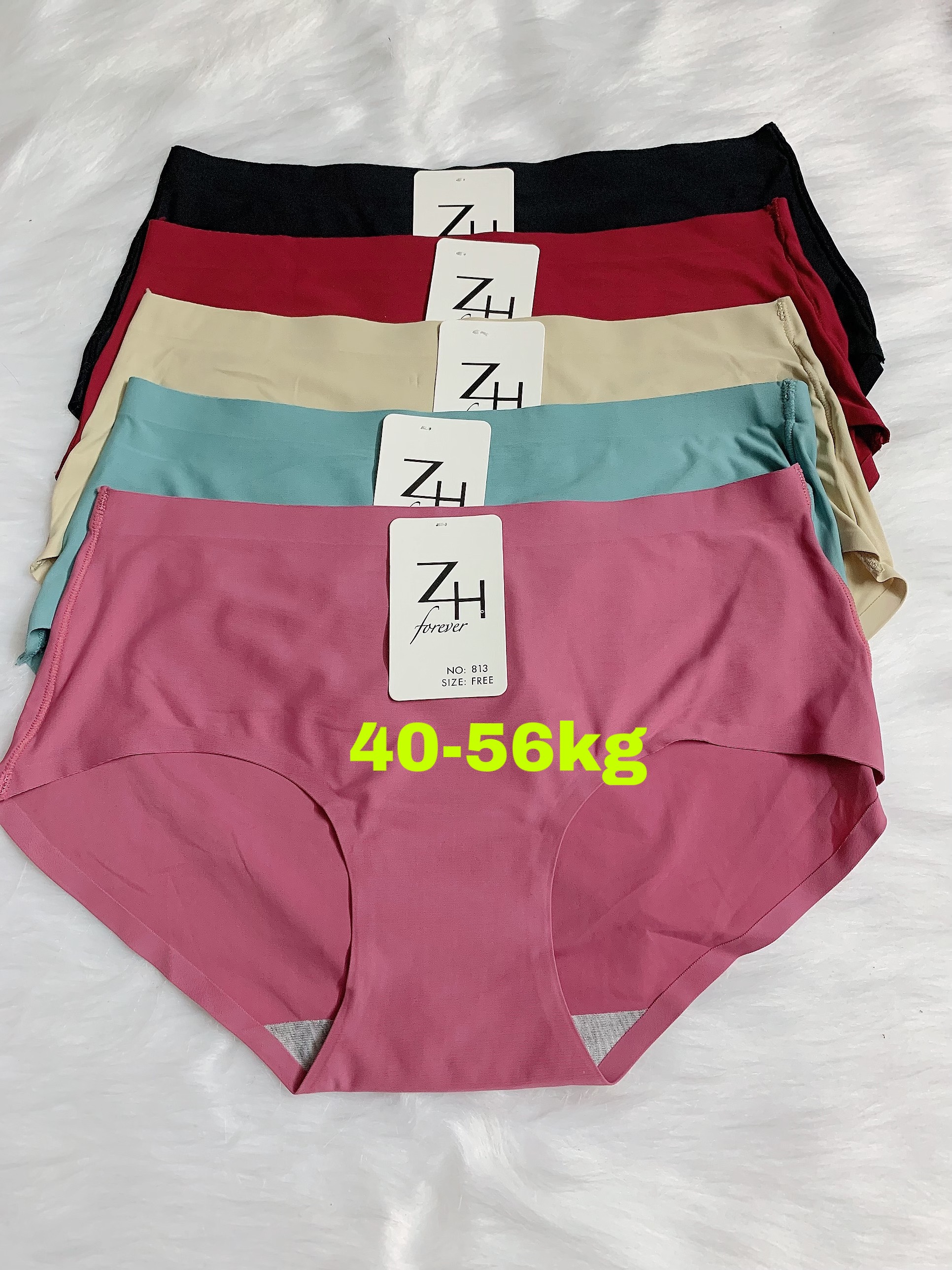 Set 5 quần chip su trơn ZH