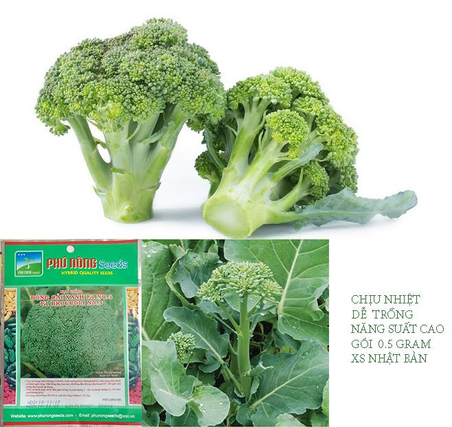 [HCM]HẠT GIỐNG NHẬT  BÔNG CẢI XANH F1 NO3 GÓI 0.5GRAM .