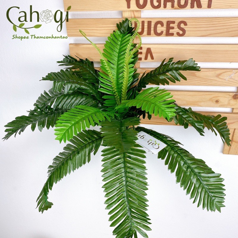 Cây giả - Vạn Tuế trang trí cỡ lớn