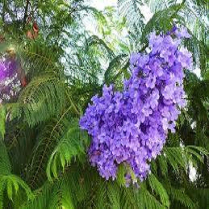 So1kBQIi3Cwg44kGntBv_simg_d0daf0_800x1200_max.jpg