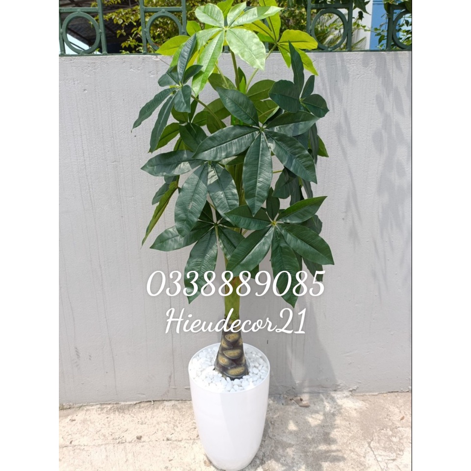 Cây giả - cây kim ngân, cây phát lộc cao 1,1m decor siêu chảnh