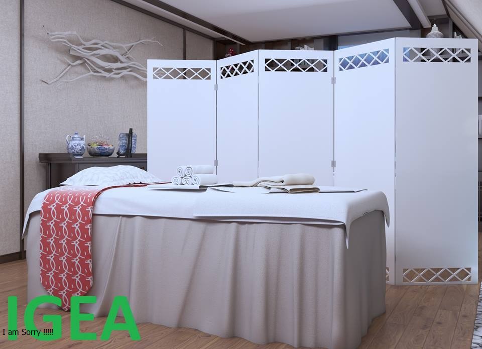 Vách Ngăn Bình Phong Kín IG465 - (322k 1 tấm kèm 2 chân)