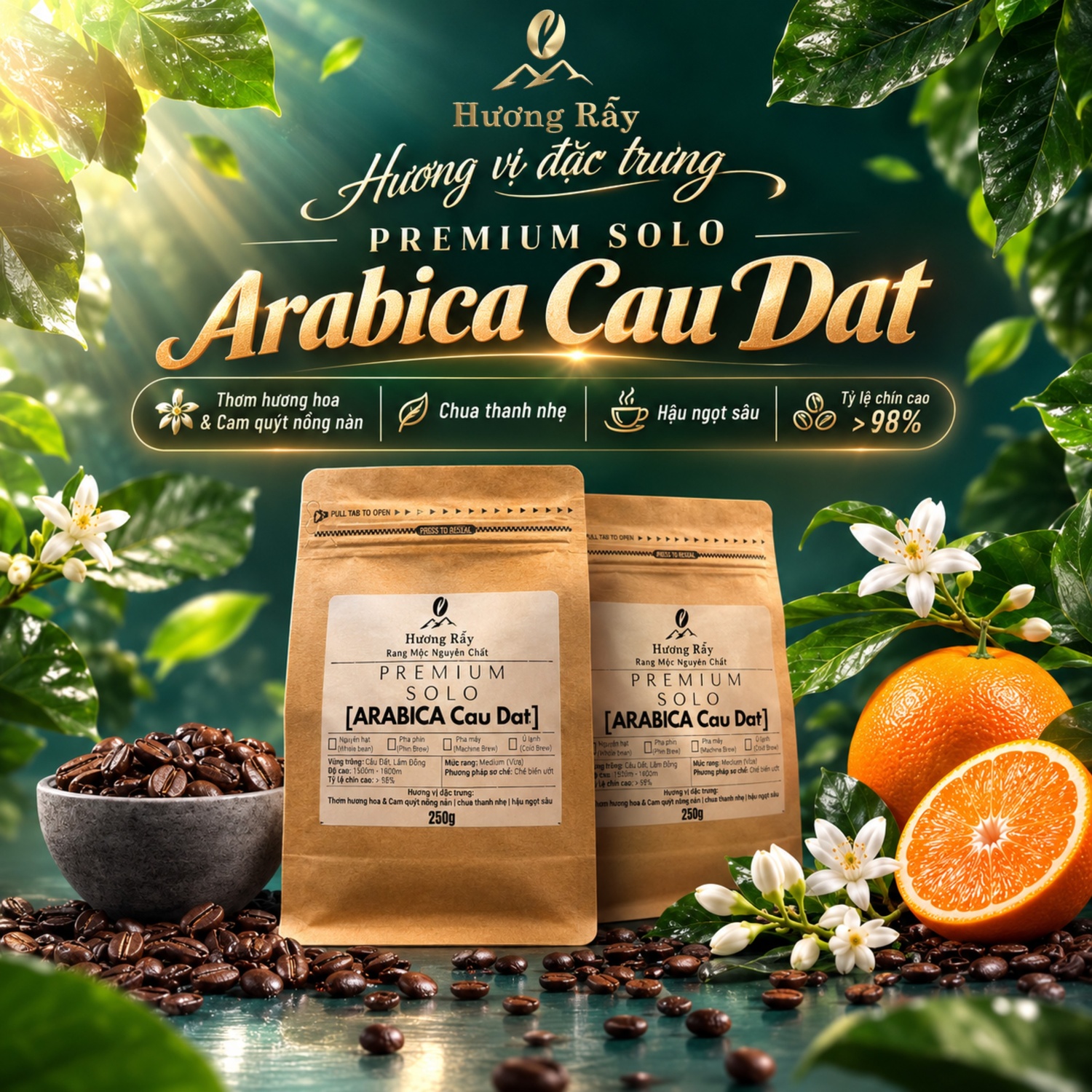 [500G] Cà Phê Rang Mộc Hương Rẫy Premium Solo Arabica Cầu Đất | Hương hoa & Cam Quýt nồng nàn, Chua thanh nhẹ, hậu ngọt