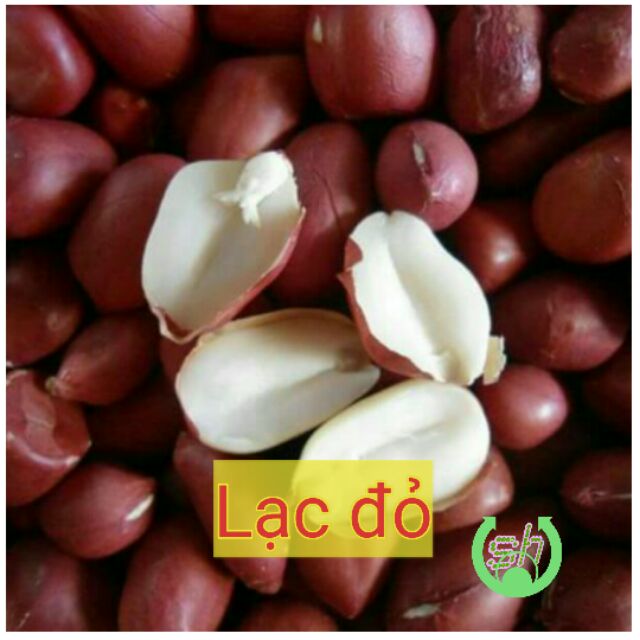 Lạc đỏ/ đậu phộng đỏ - 250gr - lạc sống