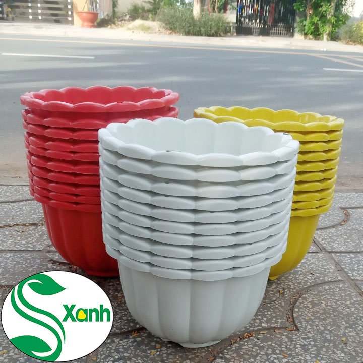 5 chậu treo bí lớn