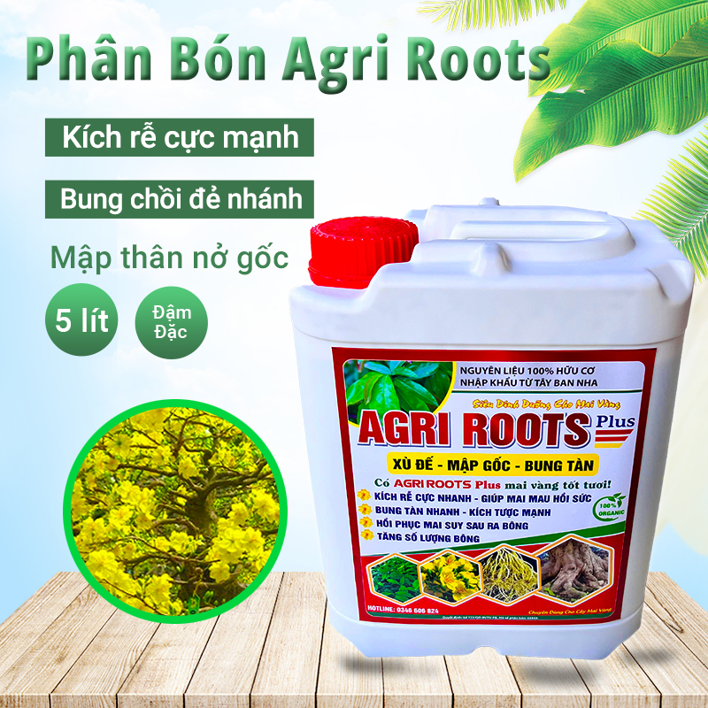 Phân bón cho Mai Vàng kích rễ bung chồi mập thân xanh cây dưỡng nụ dưỡng bông Agri Roots cal 5 lít