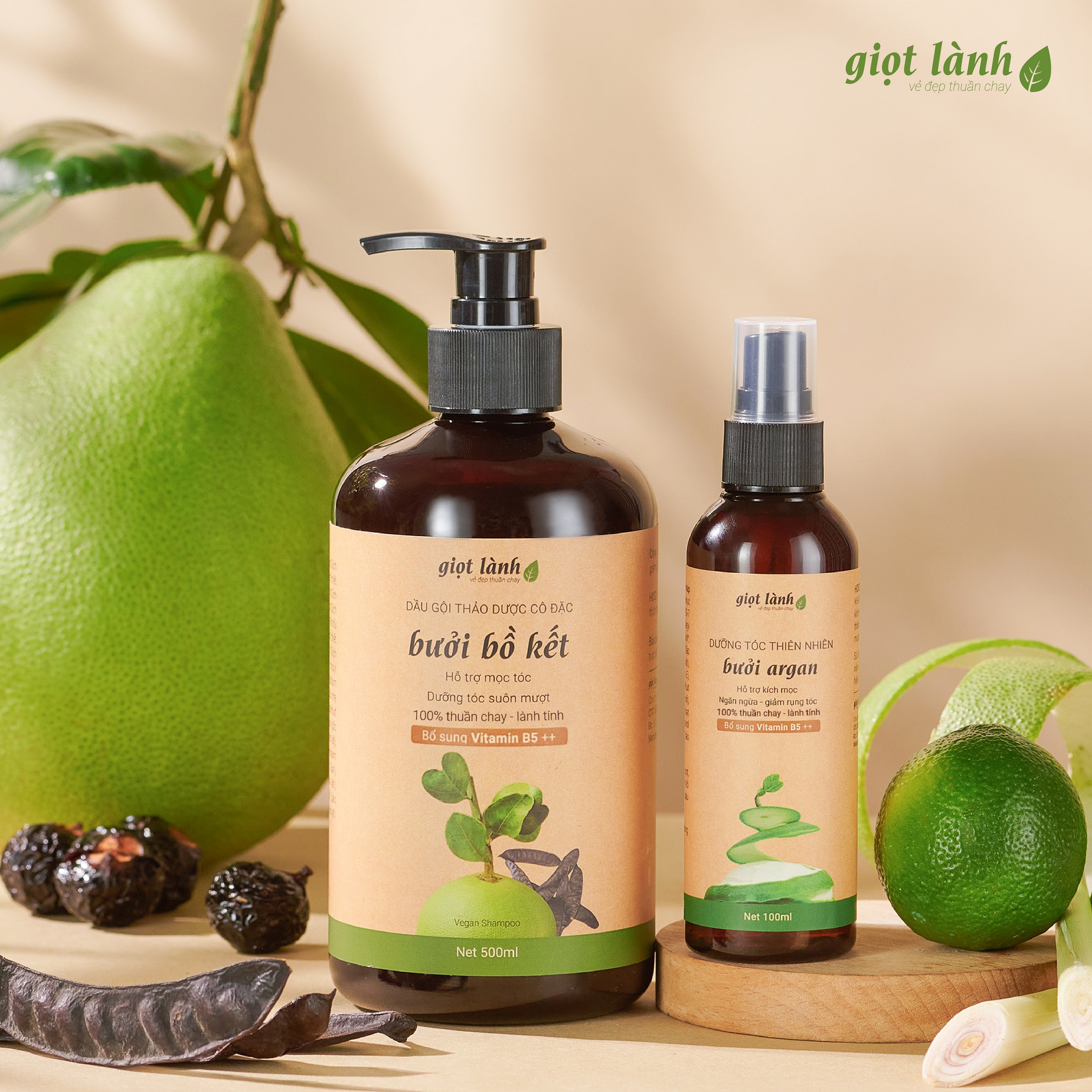 Bộ dầu gội bồ kết - Xịt tóc tinh dầu bưởi kích mọc tóc giảm gãy rụng Giọt Lành