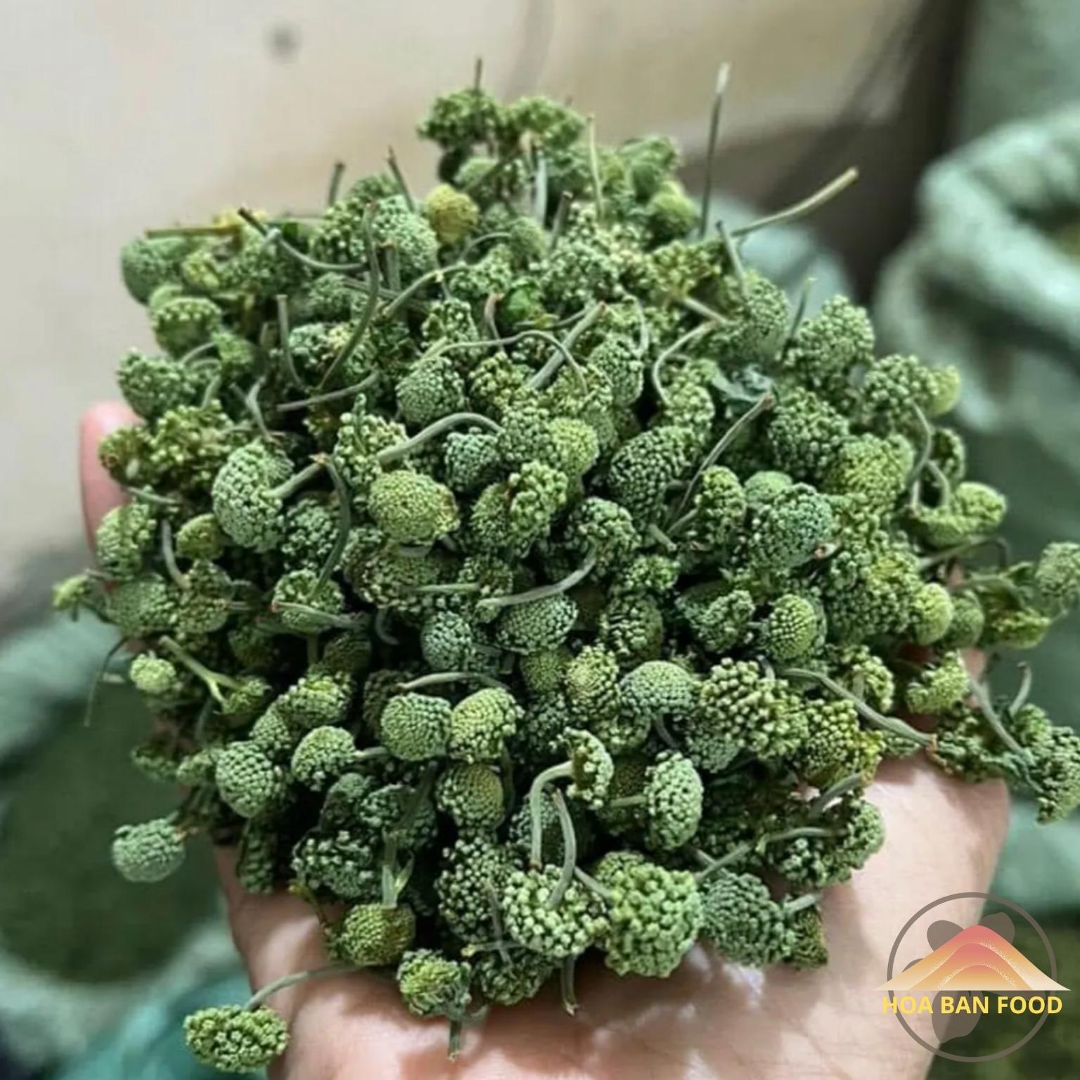 Nụ hoa tam thất bao tử HOA BAN FOOD loại 1, sấy khô thủ công từ nụ tam thất tươi, thơm tự nhiên. Nụ hoa tam thất bắc Hà Giang, Sapa