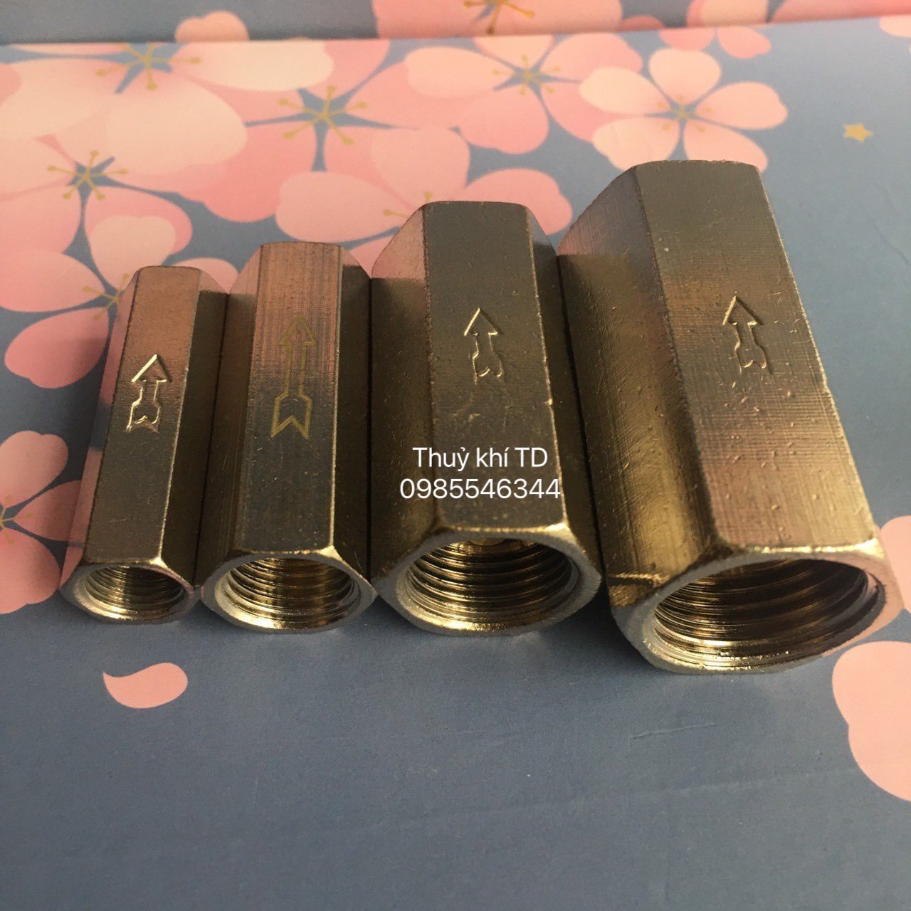 Van 1 chiều khí nén cv-01/cv-02