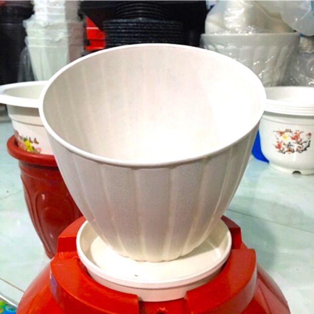 Chậu nhựa sọc + tặng đế lót