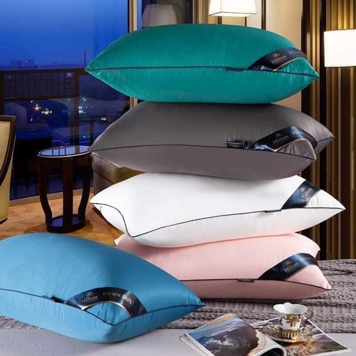 Set 2 ruột gối đầu cao cấp có khóa kéo kích thước 45x65cm