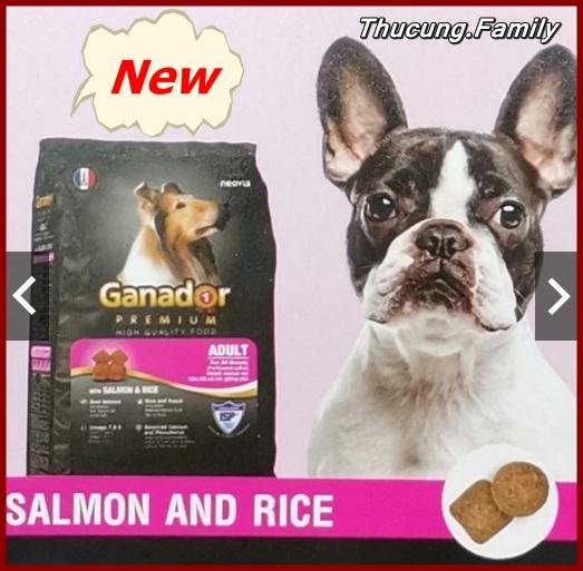 [HCM]COMBO 5 túi thức ăn hạt Ganador Cá Hồi và Gạo cho Chó cưng nhà bạn. 400g/ túi