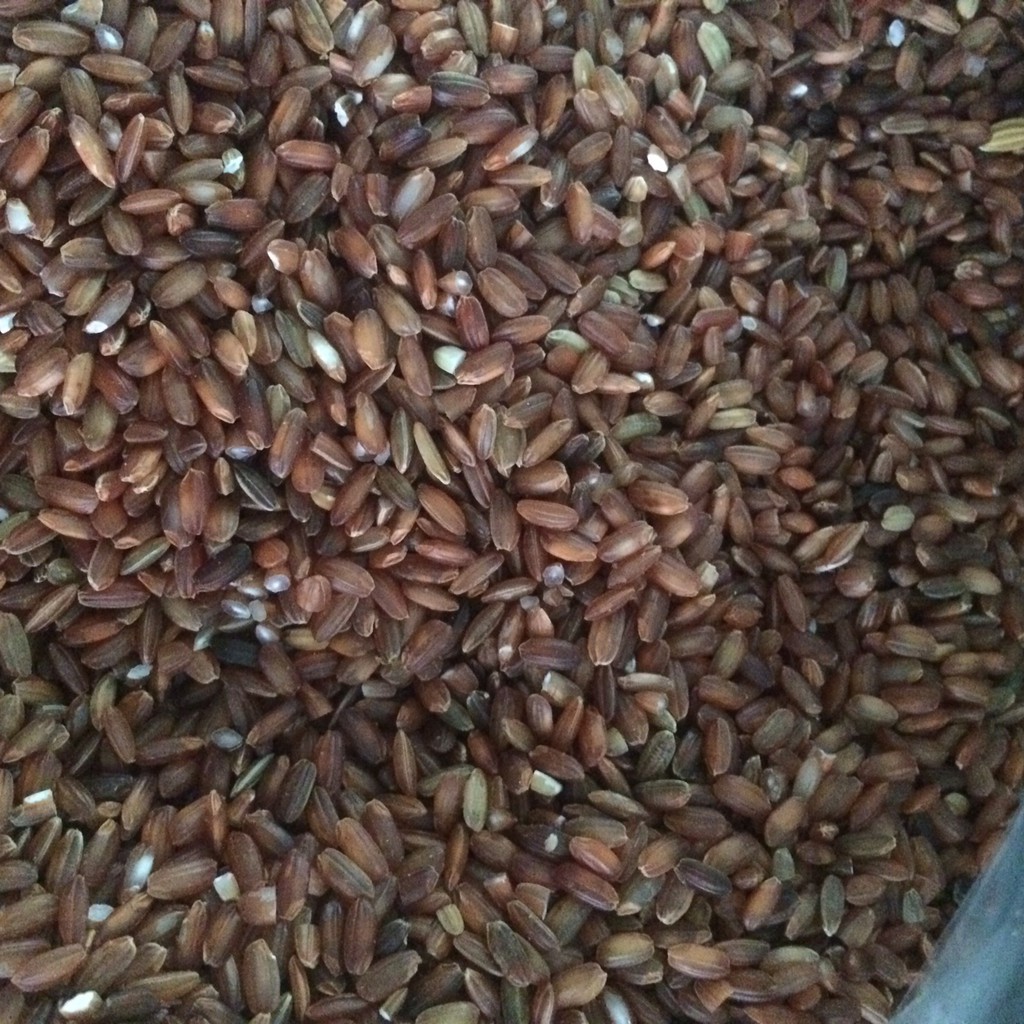 Gạo lứt nương đỏ điện biên - 1kg