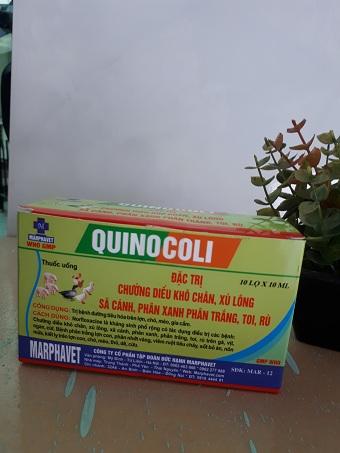 DAC TRI phân xanh trắng QUINOCOLI cho gà 1 hộp 10 lọ Liều dùng nhỏ trực tiếp vô miệng 3 - 5 giọt tuỳ theo kg