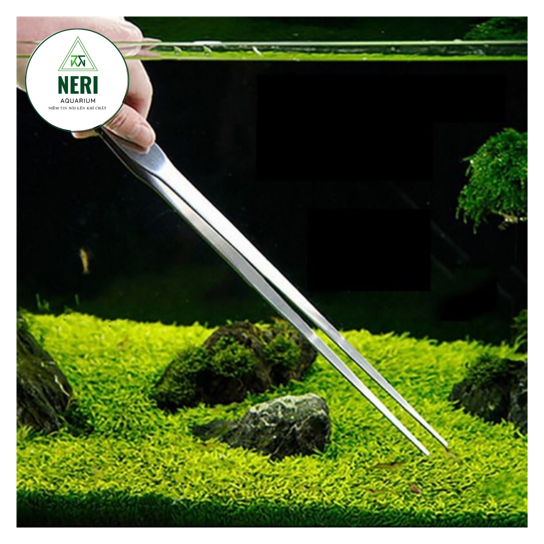 Kéo, nhíp cắm cây thủy sinh không rỉ