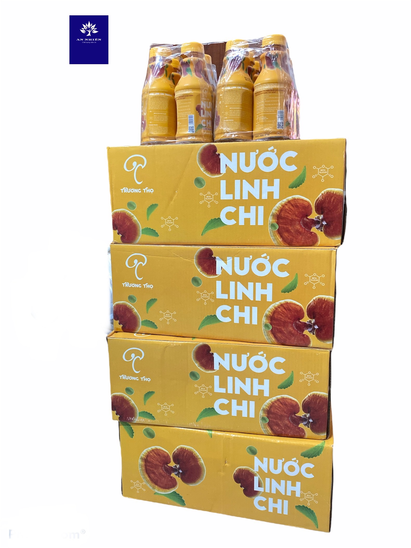 Nước linh chi - chiết xuất từ nấm linh chi organic – Trường Thọ