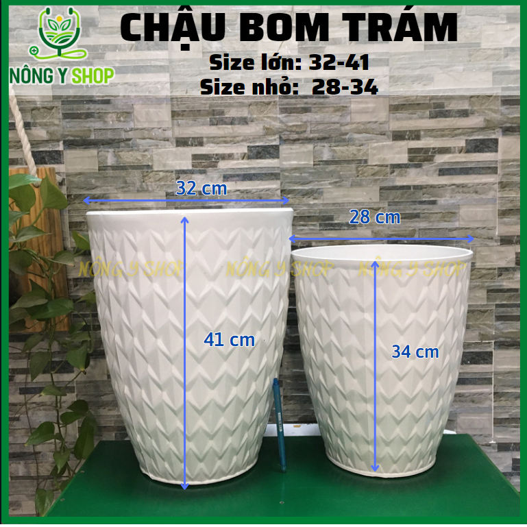 Chậu bom trám, chậu tròn trắng, chậu bom trắng, chậu trồng hoa, chậu trồng cây kiểng