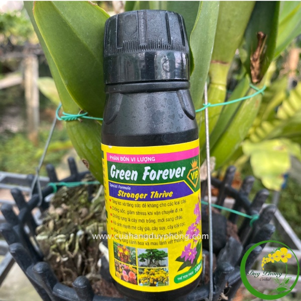 Phân bón vi lượng Green Forever, chai 100ml, cho Lan, Hồng, Kiểng lá, cây mới trồng
