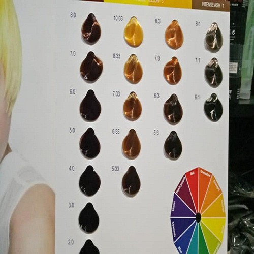 [HCM]Kem nhuộm tóc everflor 100ml