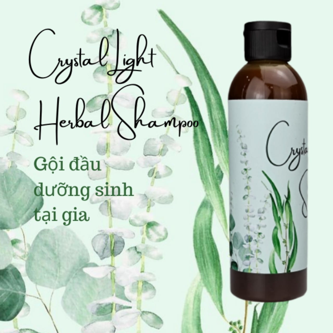 BÁN CHẠY | H2006020 Dầu gội thảo mộc đá thiên nhiên, dầu gội dưỡng sinh trị gàu, rụng tóc Crystal Light.