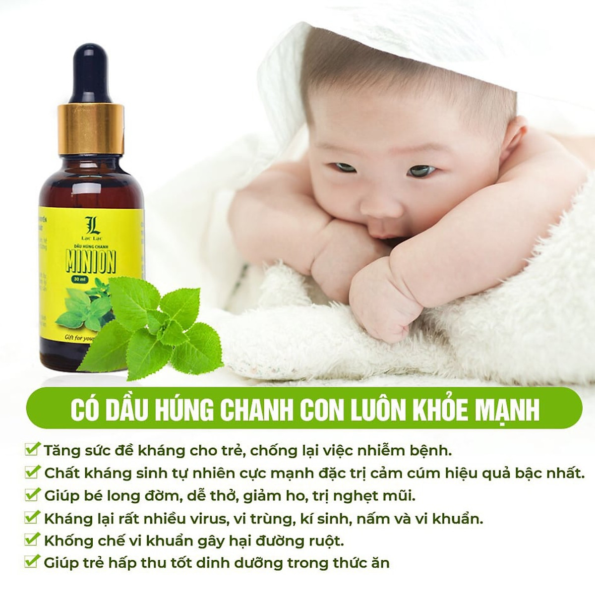 Dầu húng chanh minion - mẫu mới nhất - tặng tinh dầu tràm huế