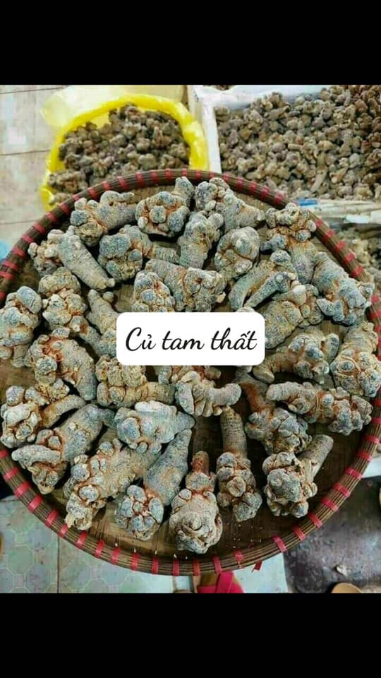 Củ tam thất khô bắc 100g - loại 6 củ/100g