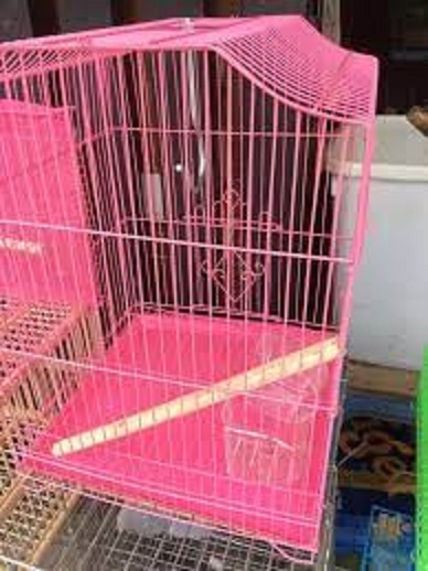 Lồng chim khoen vông sơn tỉnh điện
