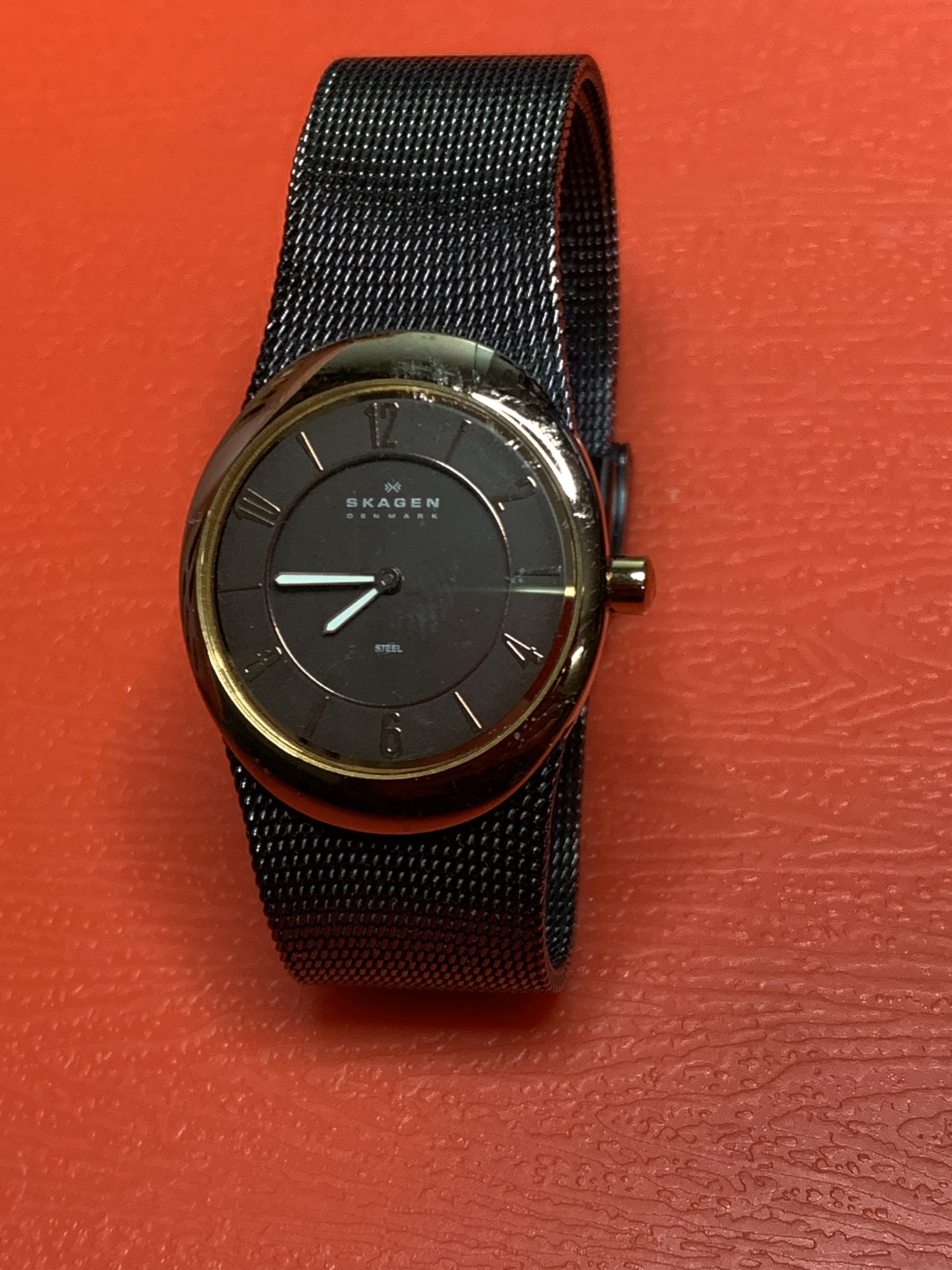 Đồng hồ nữ Skagen Nhật Bản size 28