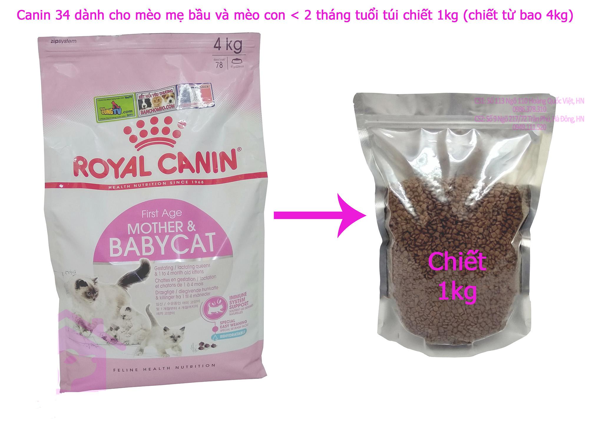 Royal Canin BabyCat 34 Thức ăn mèo con 1- 4 tháng và mèo mẹ bầu