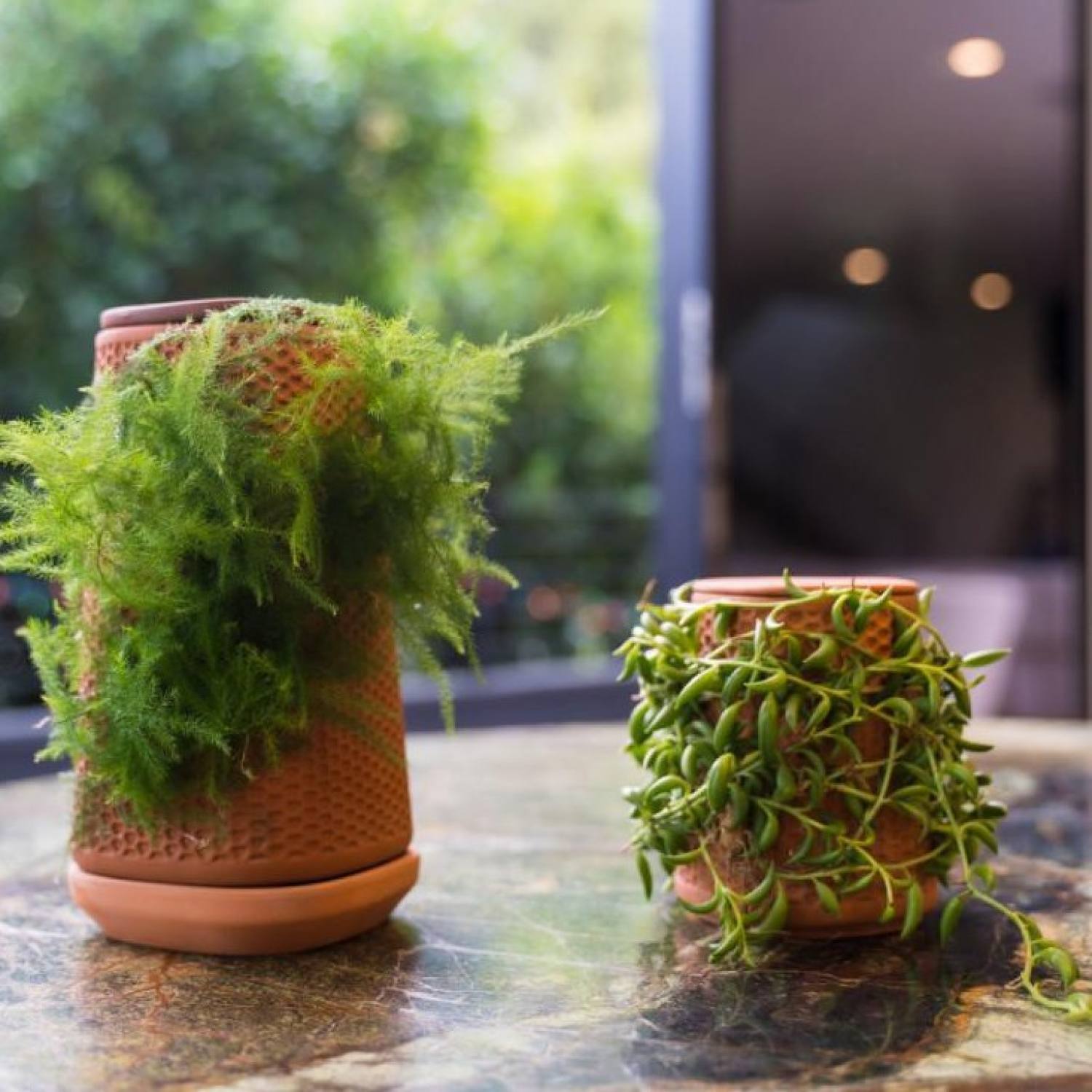 Tháp gốm trồng cây tháp cây dooa tháp cây đứng - terra