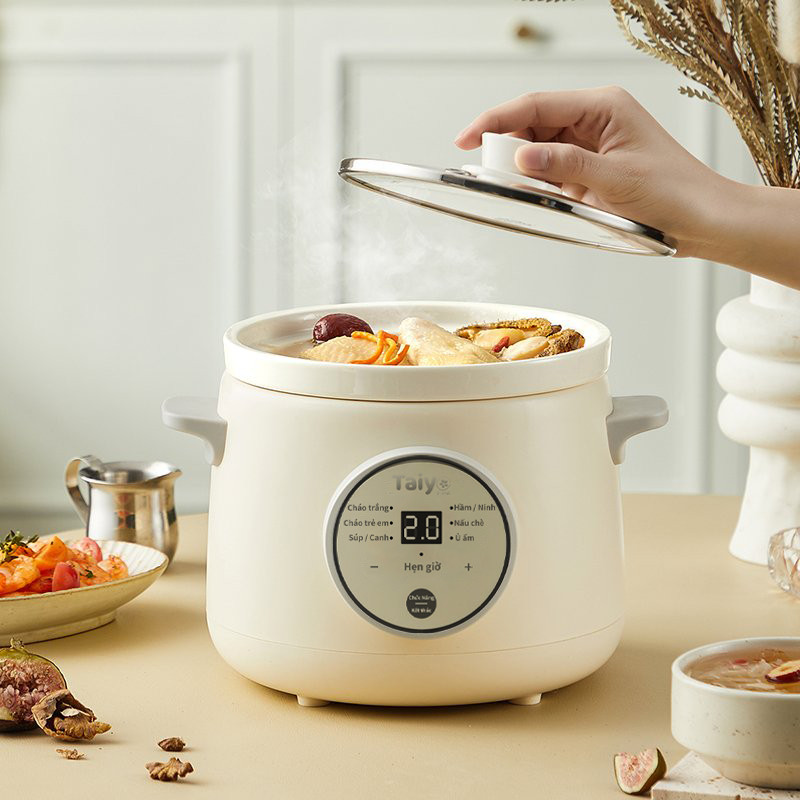 Nồi hầm điện taiyo 1.5l, nồi nấu chậm, nồi nấu đa năng taiyo chính hãng bảo hành 12 tháng - ty 1638