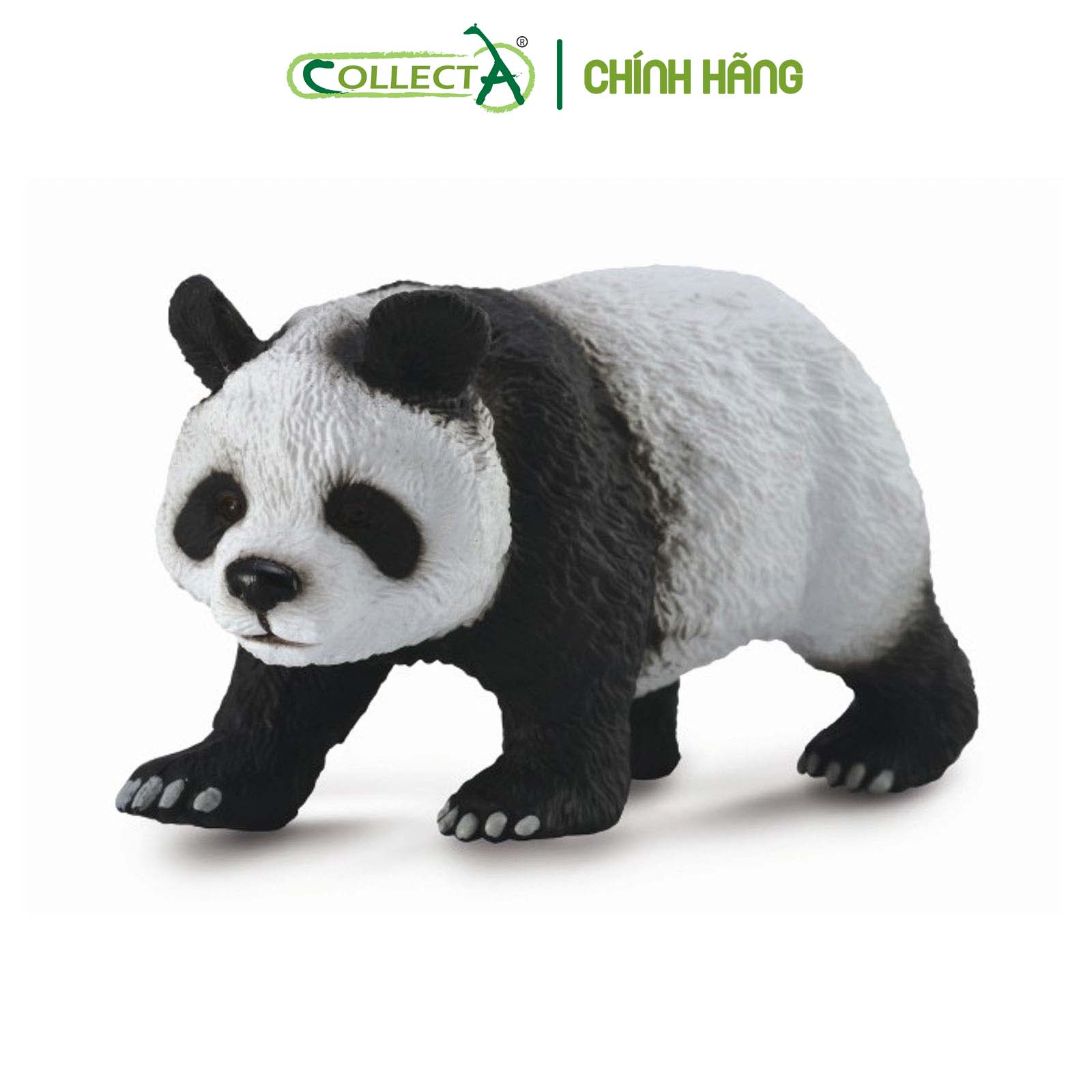 Đồ chơi mô hình động vật CollectA Gấu Trúc - Giant Panda