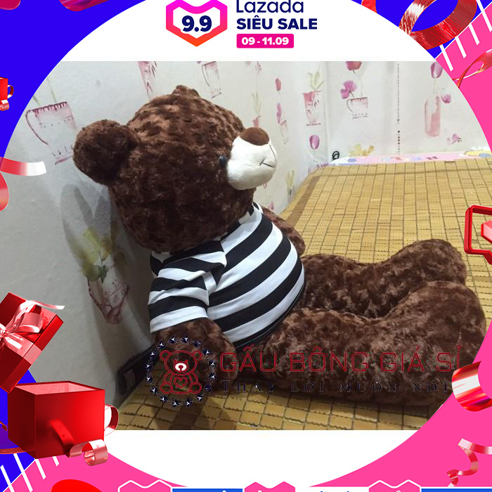 [HCM]Gấu bông Teddy khổ vải 80cm màu nâu