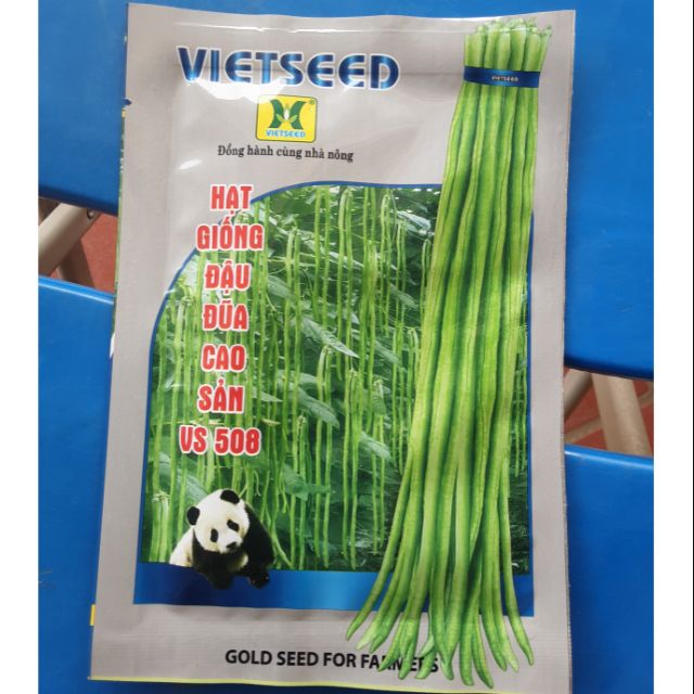 Hạt giống đậu đũa cao sản VS508 loại 50g