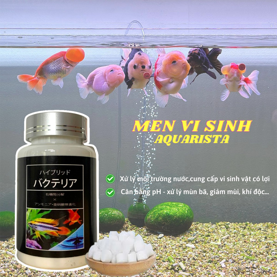 Men vi sinh aquarista của Nhật lọ 100v trắng, nước trong, cá khoẻ, bể sạch