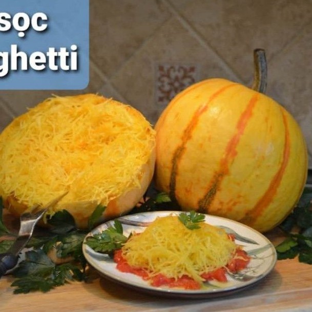 [HCM]Hạt Giống Bí Mì Sợi Bí Sọc Spaghetti Giống Hữu Cơ Mỹ Độc Lạ Dễ Trồng