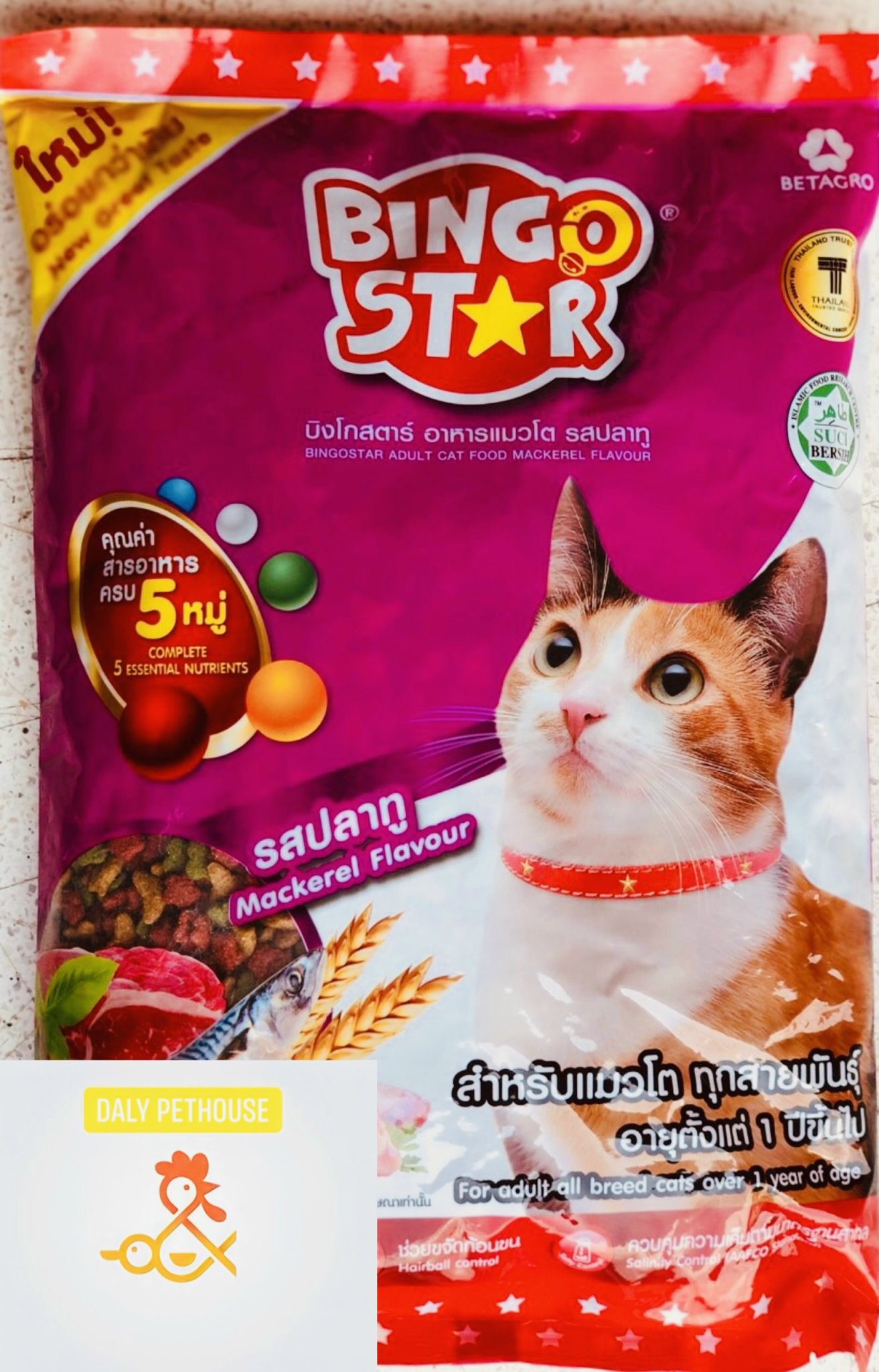 Thức ăn Bingostar cat