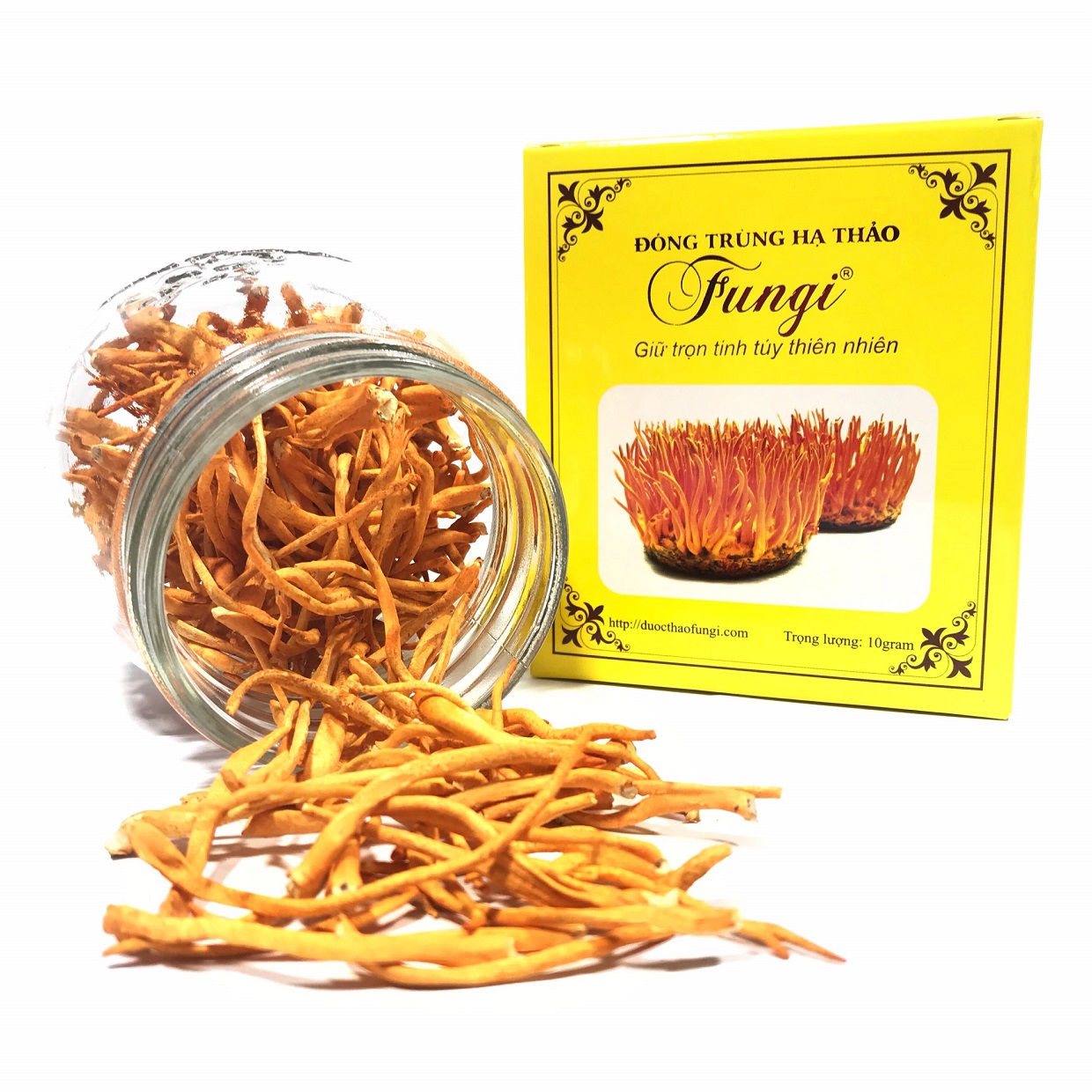 Đông trùng hạ thảo fungi khô 10gram dược chất cao, tăng cường sức khỏe, giảm tiểu đường, ăn ngon ngủ ngon - dược thảo fungi