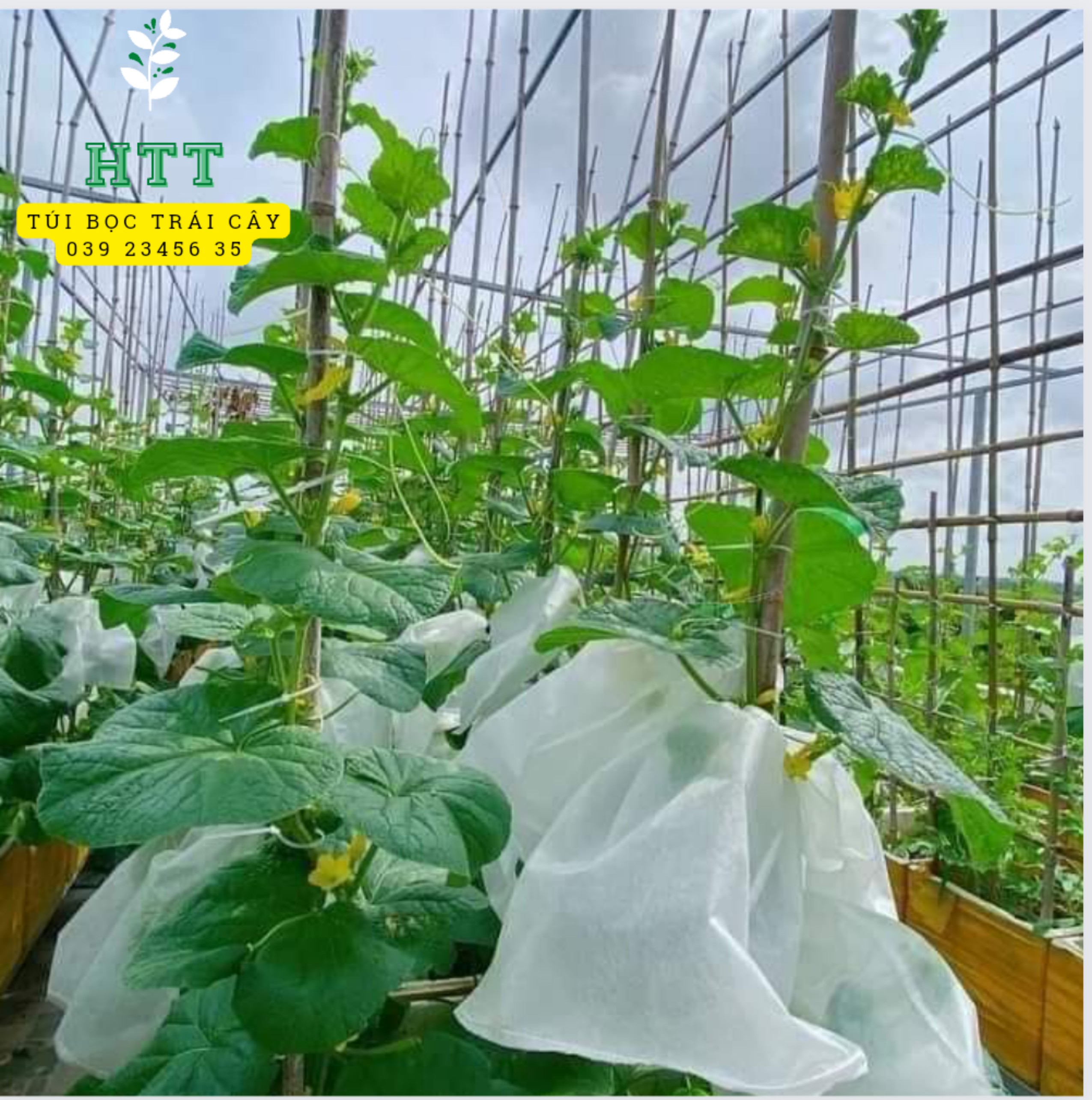 Túi vải 20x30cm bao bọc trái xoài, khổ qua, bí đao, bơ 034,... túi bao bọc trái cây