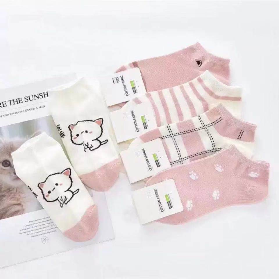 Set 5 đôi vớ nữ hồng